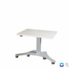 Sähköpöytä Easy DL12