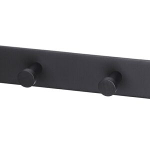 Seinänaulakko Bläk